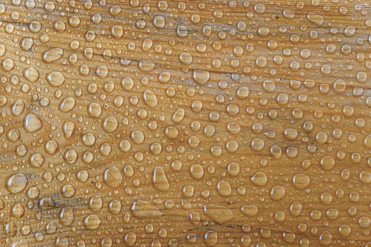 Water droplets beaded on a wooden surface
